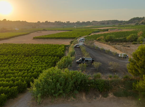 Aire Celler de Sanui (2)